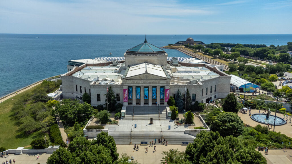Shedd Aquarium w Chicago
